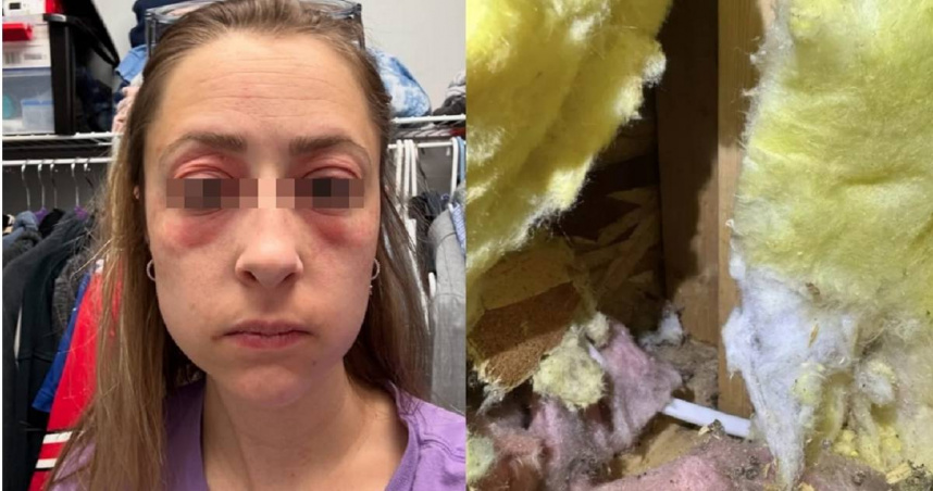 美國一名女子與先生以為買到夢想中的房子，入住後才發現竟是惡夢。（圖／翻攝自Instagram／applfrittr11）