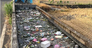 宜蘭五結鄉溝渠「整條塞滿垃圾」!網痛批:水道不是24小時垃圾車