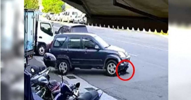 惡男開車「來回輾狗」還下車猛踹 網友肉搜怒批:喪心病狂