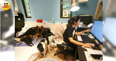 Mary的房間其實就是工作室，她每天都在這裡與國外的領養家庭視訊對話、郵件往返，許多浪浪也會與她同床而睡。（圖／趙世勳攝）