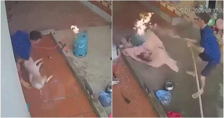 。（圖／翻攝docnhanh）