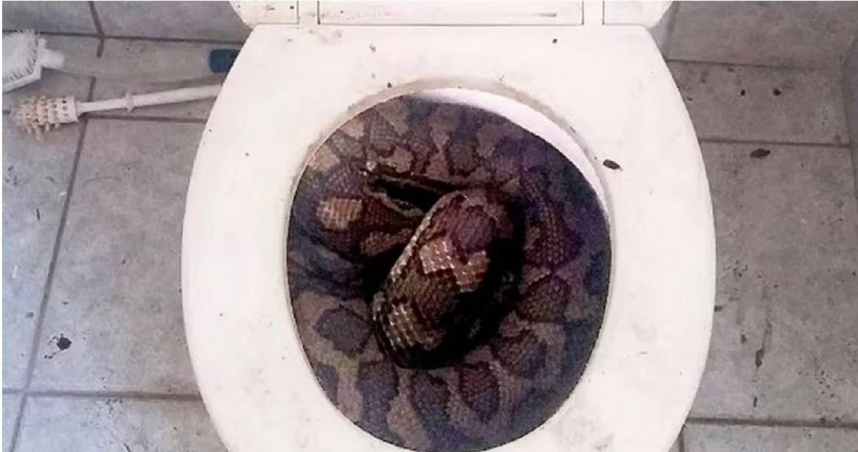 （圖／翻攝自《鏡報》）