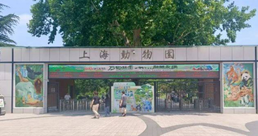 大陸一對夫婦日前帶著10個月大的嬰兒參觀上海動物園。（圖／翻攝自微博）