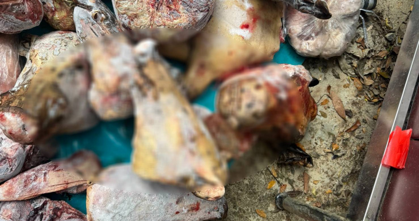 流浪動物珍愛協會副理事長黃宣富表示，意外在臉書上發現大量越籍移工在台宰殺流浪犬隻與野生動物的販售貼文。（圖／流浪動物珍愛協會提供）