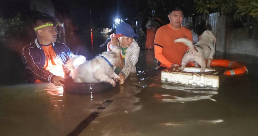 呂宋島皮托戈鎮一戶五口之家遭倒樹壓毀，包含兩名孩童在內全數罹難。（示意圖／達志／美聯社，下同）
