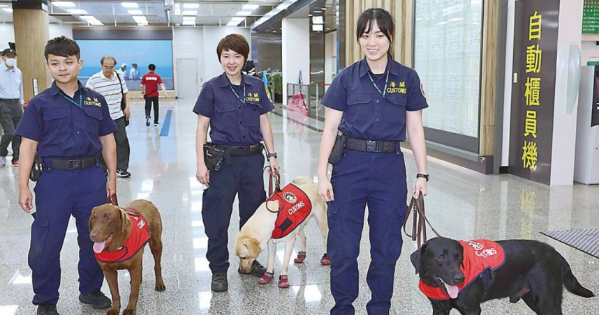 農業部推動執勤犬保單，保費將由農業部全額支出。圖為海關緝毒犬。（圖／中國時報陳俊吉攝）