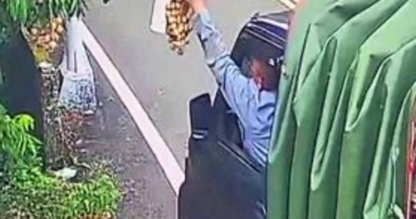 台南市東山區一處龍眼果園結實纍纍，引來遊客順手摘果，園主安裝監視器對採果賊提告竊盜罪。（圖／擷自我是東山人臉書粉專）