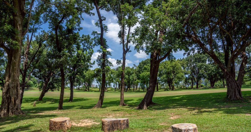 高雄果嶺自然公園10月開放一般民眾進入園區，為維護園區品質，將管制寵物入。（圖／翻攝自高雄市政府媒體群組）
