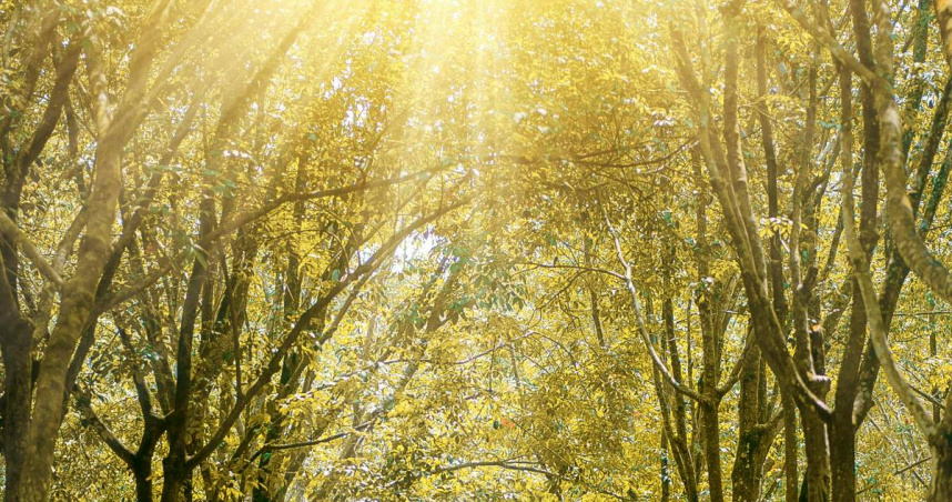 （示意圖／Pexels）