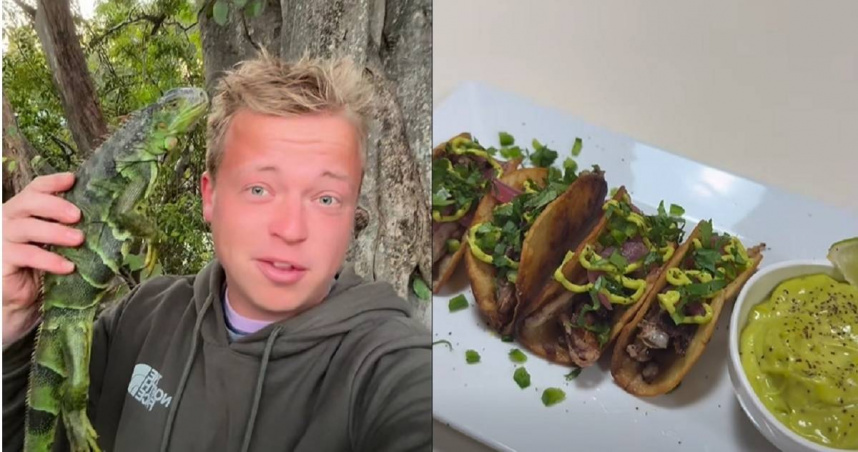 美國一名男子把凍僵的鬣蜥撿走，製作成塔可分享到社群引發網友熱議。（圖／翻攝自臉書／Gray Davis）