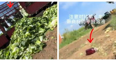 河北張家口康保縣爆出「甲醛白菜」風波，工人被拍到在白菜裝車前疑似以甲醛溶液處理保鮮。（圖／翻攝自抖音，@漁獵齊哥，下同）