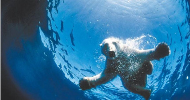 根據G20峰會公報草案，20國領袖同意「立即採取行動」，以便實現在2050年之前將全球均溫上升控制在1.5°C內。（圖／中新社）