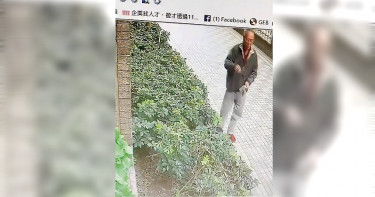 【毒貓煉獄5】 管委惡煞強力滅貓 囚籠狠摔貓仔噴血斷骨