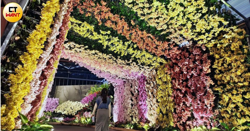 現場利用各色蘭花打造大型隧道，加上燈光變換拍起來特別震撼。（圖／魏妤靜攝）