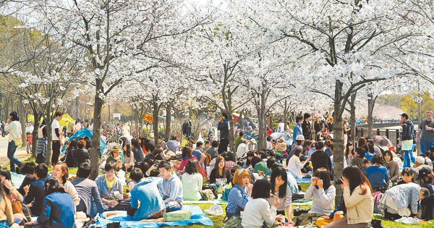 2024年台灣民眾國外旅遊支出首度突破兆元，創歷史新高。圖為國人最愛的旅遊地日本，每逢櫻花季便湧入無數人潮賞櫻。（圖／報系資料照片）
