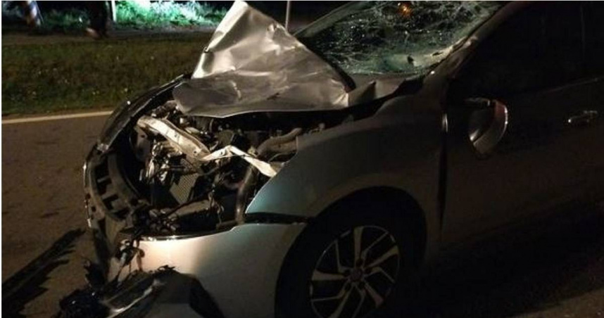 金門轎車行駛途中慘遭衝出的牛隻相撞，造成駕駛及乘客輕微擦挫傷，但肇事的牛隻早已逃逸。（圖／翻攝畫面）