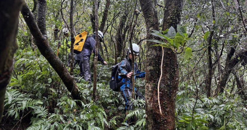 新北市三峽區79歲楊姓老翁登宜蘭叢雲山失聯，宜蘭縣、新北市消防局搜救隊持續入山搜尋，山徑林相複雜加上大雨增添搜救難度。(圖／宜蘭縣消防局提供)