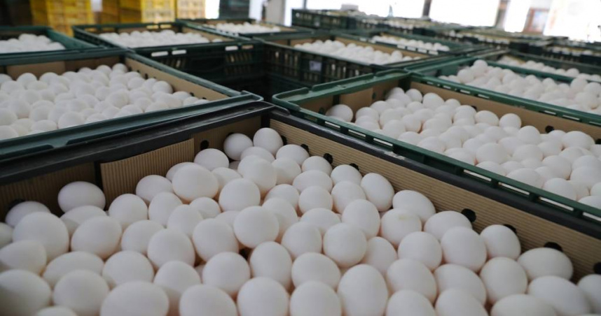 雞蛋驗出超標農藥芬普尼，2大連鎖賣場回應了。（示意圖／本報資料照）