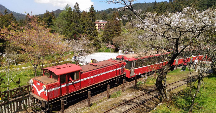 阿里山是台灣著名觀光景點之一。（圖／翻攝臉書／阿里山國家森林遊樂區）