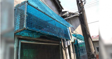 詐領動物醫療補助2/年領百萬補助建「煉獄」 浪浪「愛媽」變「惡媽」