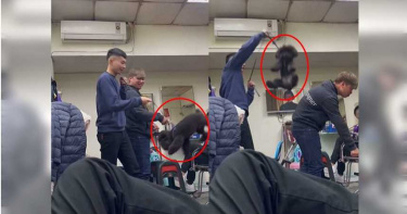 桃園男繩吊黑貴賓甩3次遭砲轟 影片道歉:對不起狗狗