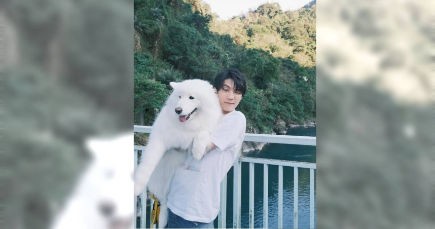 網紅卡特的愛犬Pumpkin外出散步時被1隻牧羊犬攻擊。（圖／擷取自卡特IG）