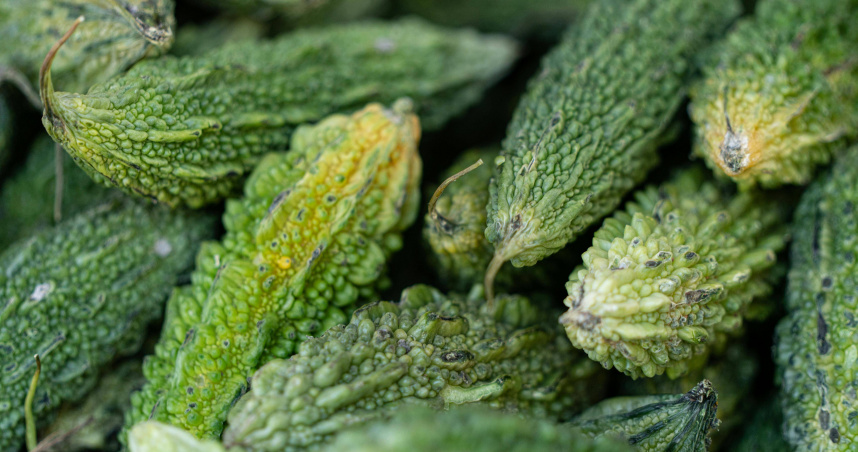 劉博仁醫師近日在其臉書粉專分享了，苦瓜在現代營養學與醫學上的諸多好處。（示意圖／翻攝Pexels）