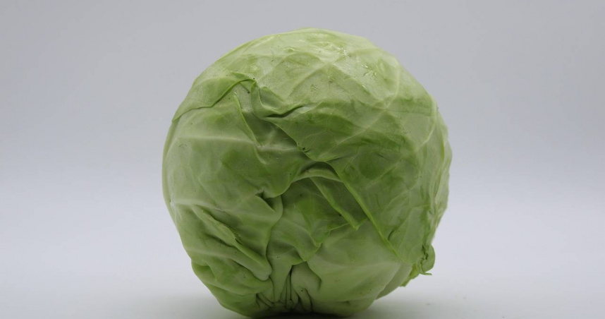 高麗菜。（示意圖／Pixabay）