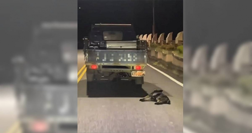宜蘭頭城30日晚間10時許，一輛小貨車當街將狗活生生拴在車後拖行，且倒地癱軟、滿身血跡，痛苦模樣讓人心碎。（圖／翻攝畫面）
