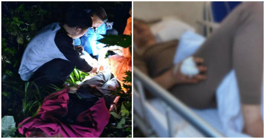 中國重慶一名男子上山採菇時遭遇黑熊，不僅小腿被咬，還被熊打下山坡，所幸掛在中途的樹枝上才沒跌落一旁深谷。（圖／翻攝紅星新聞）