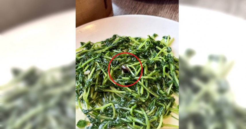 京星港式飲茶被民眾指控，他們點的清炒小豆苗裡面竟有大蟑螂屍體，讓一家人瞬間沒胃口，其中一人還被噁心到不停乾嘔和跑廁所漱口。經衛生局稽查有2項缺失，現場還有活蟑螂出沒。（圖／翻攝自Threads／goose.8247303）