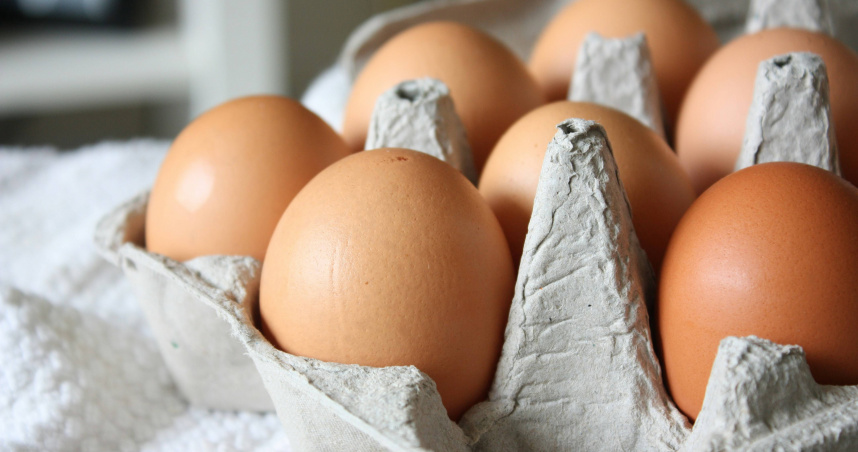 營養師澄清，蛋的營養差異取決於蛋雞吃下的飼料，而非外殼顏色。（示意圖／unsplash）