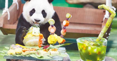 圓仔7歲生日吃大餐 臭豆腐配珍珠奶茶
