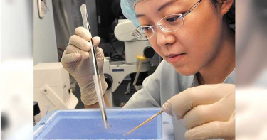 台灣求子鳥3/冷凍胚胎成功率飆高 急速霧化技術是功臣
