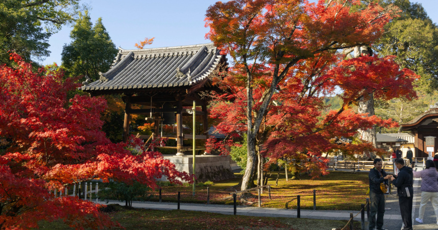 林得恩提醒，未來3個月氣溫還是很高，楓葉季、櫻花季都可能延後。（示意圖／翻攝自unsplash）