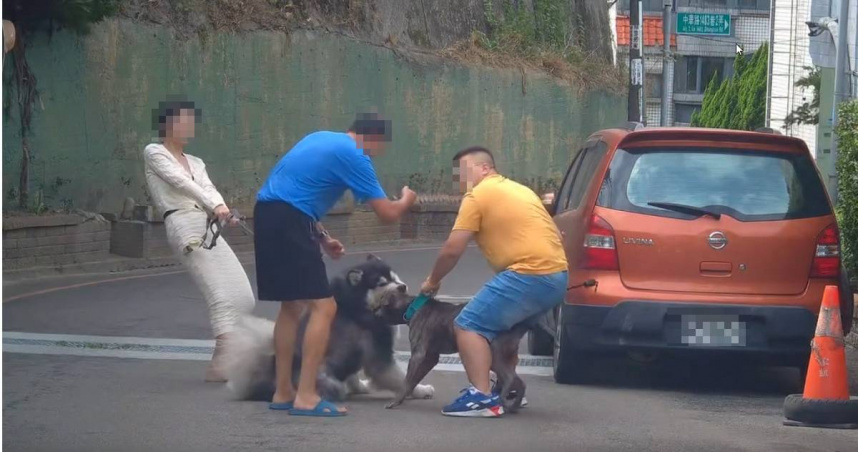 竹北再傳有失職飼主縱容飼養的比特犬在未牽繩、無口套狀況下自行遊蕩，並在路上攻擊其他民眾飼養的寵物。（圖／翻攝Threads／davidyuyuyu）