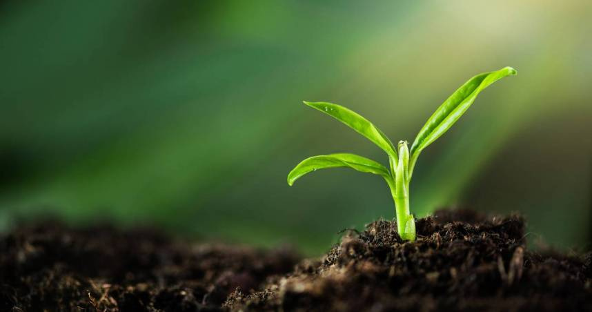 2026年2月4日04點03分進入「立春」的節氣，「立春」是二十四節氣中的第一個節氣又稱「立春節」或「春節」。（示意圖／iStock）