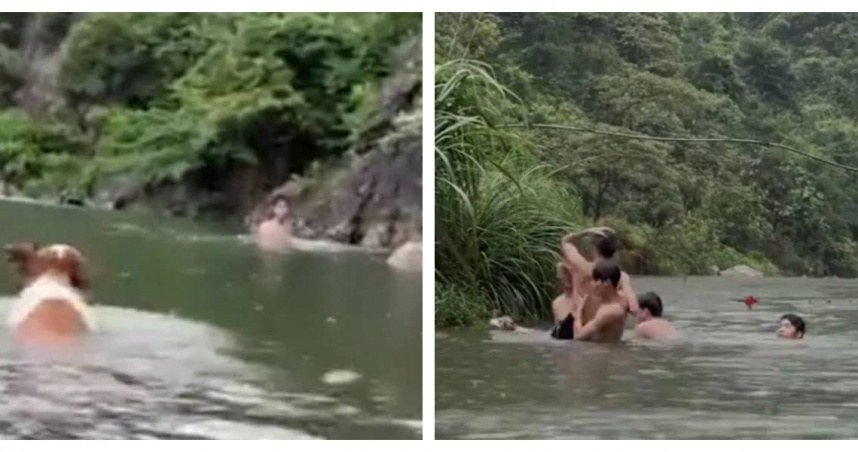 廣東一隻7個月大的小狗主動跳入河中救人，被網友封為「佛系小狗」。（圖／翻攝自九派新聞）