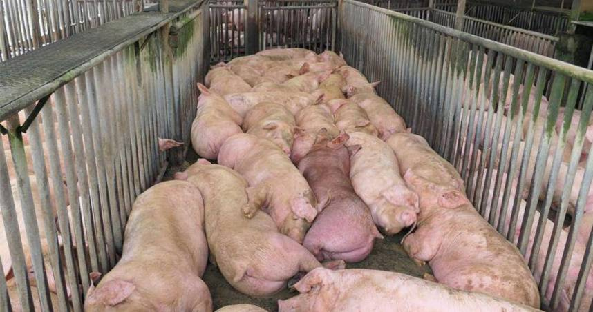 （示意圖／報系資料照）