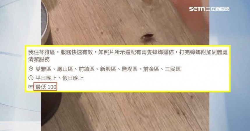 「殺蟑勇士」到府幫滅蟑，每隻100元起。