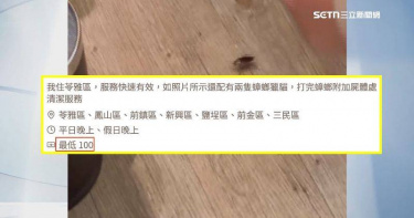 「殺蟑勇士」到府幫滅蟑，每隻100元起。