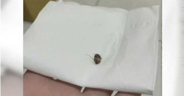 女高中生喝紅茶吃到「小強」嚇哭 高雄老字號茶店質疑敲詐:不可能