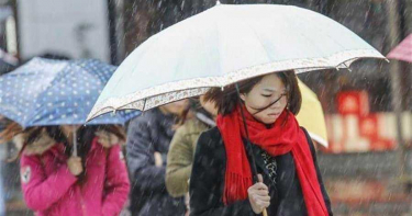 今晨最低11.8℃ 周末回暖但「濕答答」