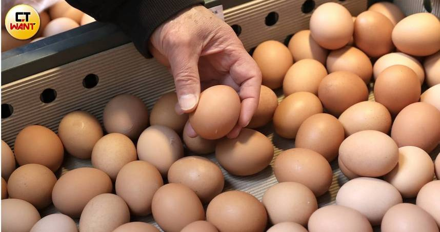 近期國內雞蛋買氣不佳，加上產量持續增長，導致雞蛋生產過剩、蛋價下跌，傳出有蛋商為了解決囤蛋壓力，竟以每箱250元的破盤價求售，讓蛋農擔憂恐損失慘重難過年。（圖／CTWANT資料照）