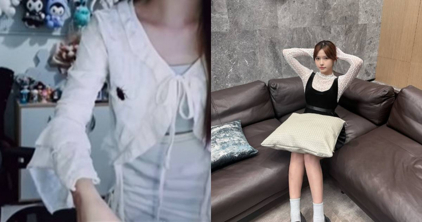 遊戲實況主「桃桃子」近日在Twitch上直播時，發現胸口前有隻大蟑螂，讓她嚇得放聲尖叫。（圖／Twitch、Instagram／桃桃子）