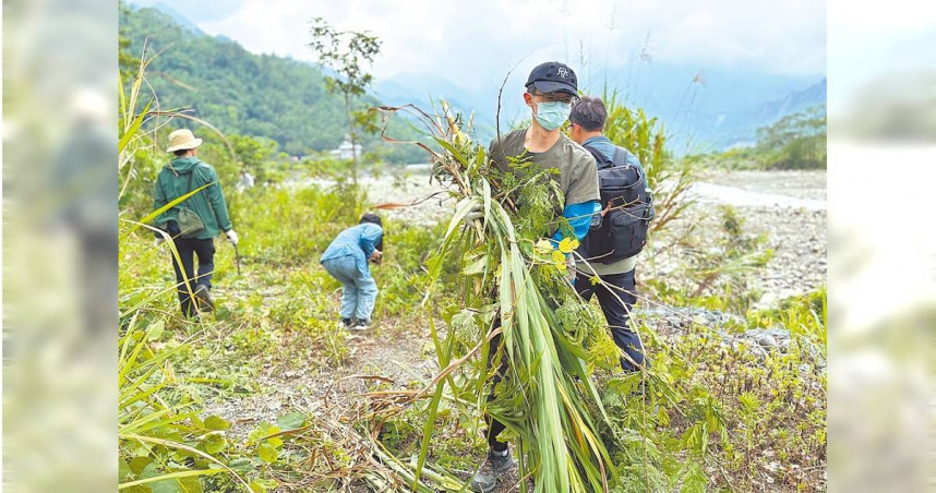 高雄市政府農業局26日攜手國立嘉義大學森林暨自然資源學系，在那瑪夏區楠梓仙溪周邊舉辦外來入侵植物移除活動。（圖／高雄市農業局提供／中國時報任義宇高雄傳真）