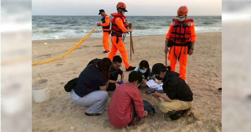 金門地區4月份共發生5起鯨豚擱淺案例，為近3年同月份為多，具體原因仍有待調查研究。(圖／金門縣水試所提供)