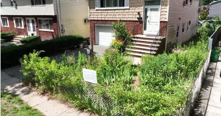 美國一名華裔女子因在庭院種植原生植物，遭罰2000美元（約新台幣5.9萬元）。（圖／翻攝自X）
