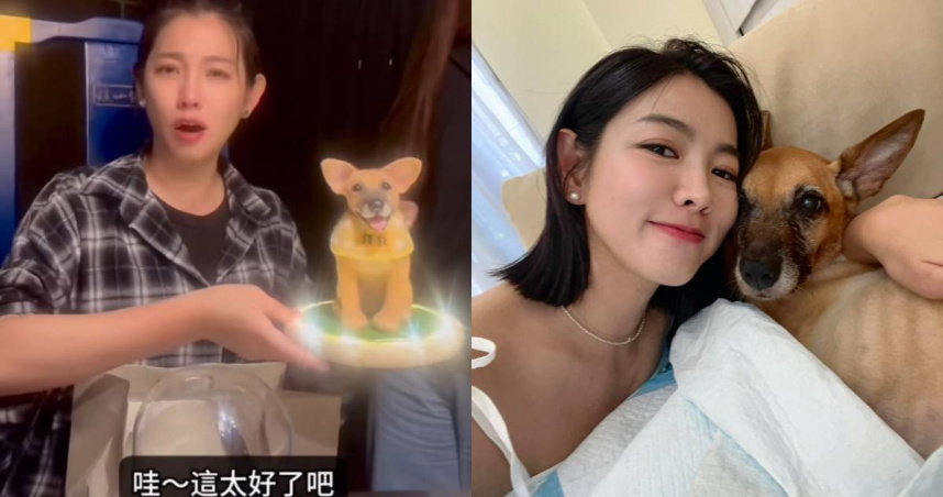 米可白的同事送給她愛犬「錢錢」的公仔。（圖／翻攝自臉書／米可白）