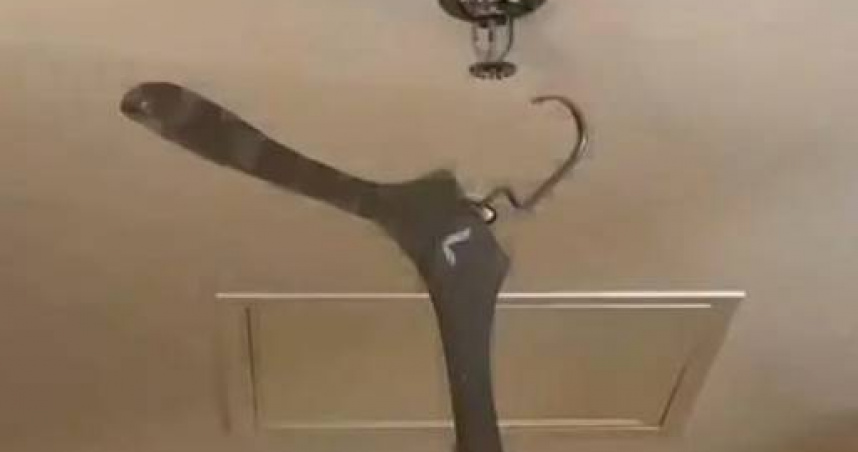 大陸一名旅客近日入住酒店時，因將衣物掛在客房內的消防噴淋頭上，意外導致噴淋系統啟動。（圖／翻攝自微博）